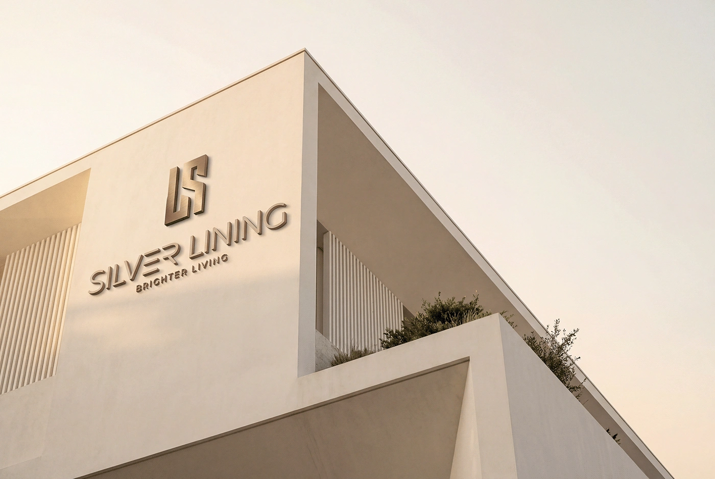 Silver Lining Brand Identity — Artwork 33