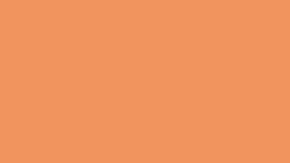 Grocery E-commerce in Style – Bembo Mart Brand Identity — Artwork 3